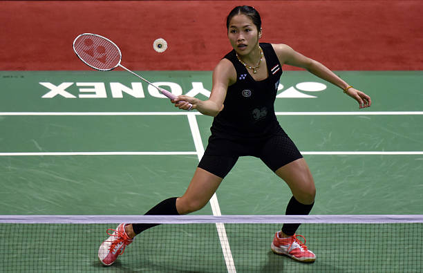 羽毛球拍一般多少钱?入门级到专业级价格全解析