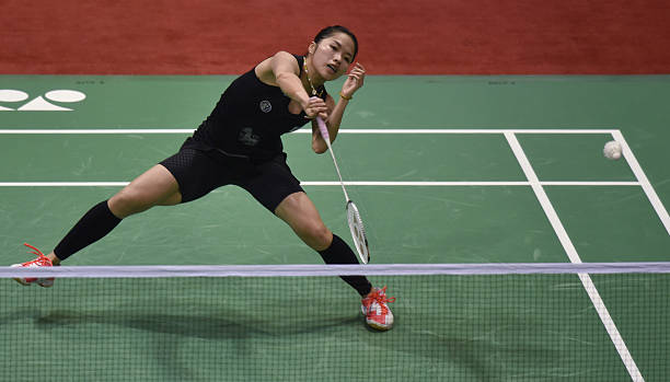 气排球和羽毛球场地标准尺寸对比表