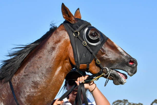 篮球比赛中二次运球的判罚标准及常见误区