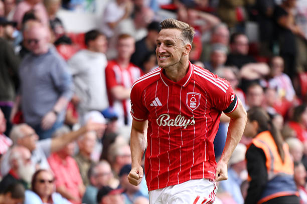 国际足联最新排名揭晓:哪国足球傲视群雄?