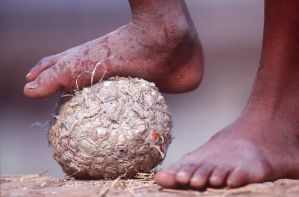 (关键词:从入门到精通、所有秘密 - 营造全面、终极攻略的感觉)