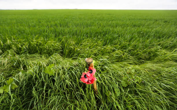 阿森纳欧冠赛程详解:1415赛季每场比赛时间