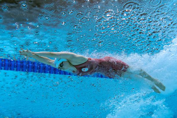 游泳比赛惊现黑马，无名小将击败世界冠军