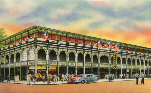 女子游泳运动员技术等级标准2023版