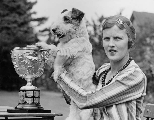 萨芬：网球场上的颜值天花板，实力与美貌并存